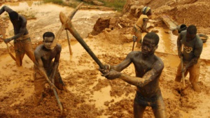 Miners dig for gold in an open-pit concession near Dunkwa